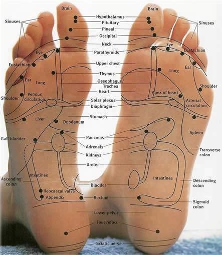 Physical and Spiritual Health: Foot reflexology pressure points map