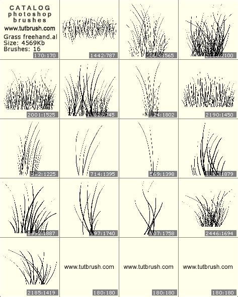 Photoshop brushes grass freehand