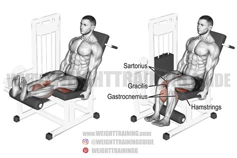 Seated leg curl exercise instructions and video | Weight Training Guide