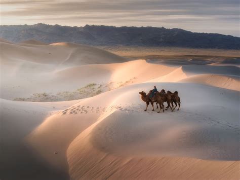 An Adventure through Mongolia’s Gobi Desert | Travel Insider