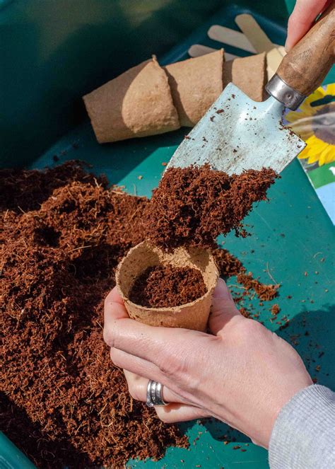 Coco coir brick: eco friendly compost from Coco & Coir - Growing Family