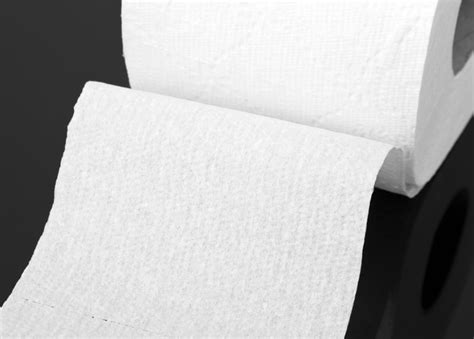 The Best Hypoallergenic Toilet Paper You Can Buy | Green Living Zone