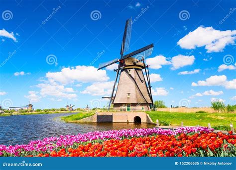 Colorful Spring Landscape in Netherlands, Europe. Famous Windmill in Kinderdijk Village with a ...