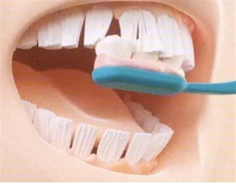 Photo of a person brushing their bristles with teeth : r/oddlyterrifying