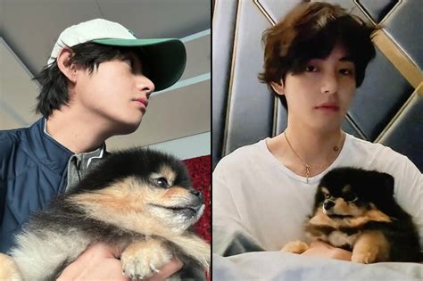 Cutest Duo: BTS's V (Kim Taehyung) Shares New Updates With His Adorable Pet Dog Yeontan - BTS LIVE