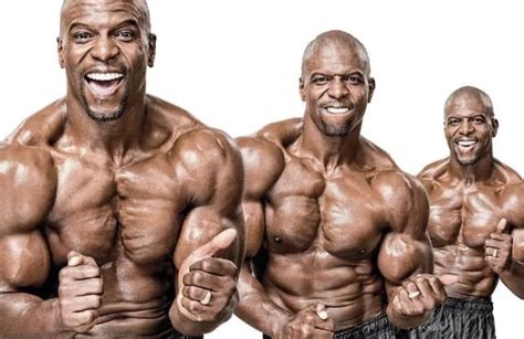 Terry Crews Workout Online Buy, Save 64% | jlcatj.gob.mx