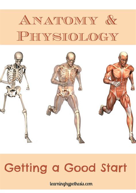 Anatomy & Physiology: Getting a Good Start. | Medical careers ...