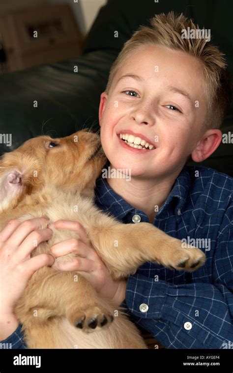 Boy playing with Golden Retriever puppy dog Stock Photo - Alamy