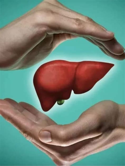 8 Habits For A Healthy Liver