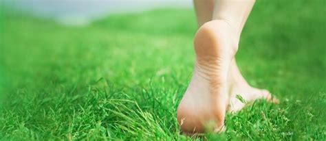 Plantar Warts: Symptoms, Causes, and Treatment Options