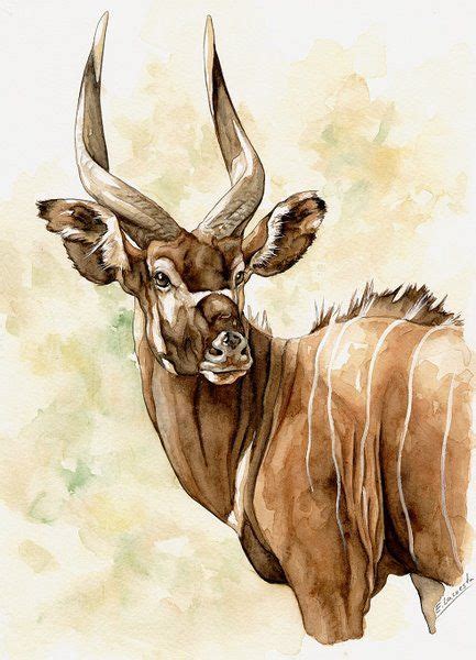 African Wildlife Watercolor Art: Explore the Plains Game Gallery