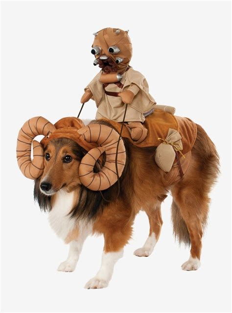 Star Wars Halloween, Pet Halloween Costumes, Dog Costumes, Dog ...