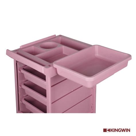 Buy Pink Beauty Salon Trolley, Salon Furniture Equipment Trolley Hairdresser Pink from Kingwin ...