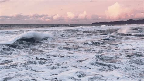 The Beach Water GIF - Find & Share on GIPHY