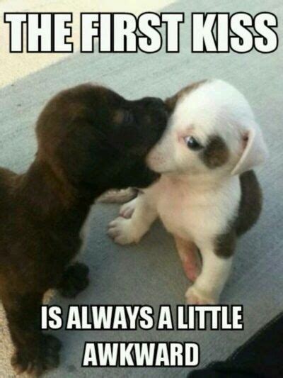 21 Cute Memes That Prove That Kissing Is Great: Mind Your Lips