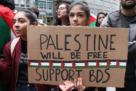 Interview: On the Future of the BDS Movement with BDS Palestinian ...