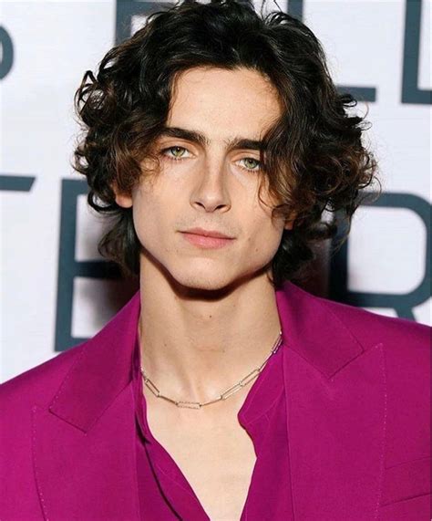 Timothee Chalamet: Personal Life, Career and More. | Timothee chalamet, Actors, Celebrities