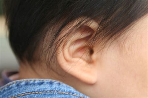 What’s in Seagate’s Pediatric Earache Remedy and Why It’s a Great Option