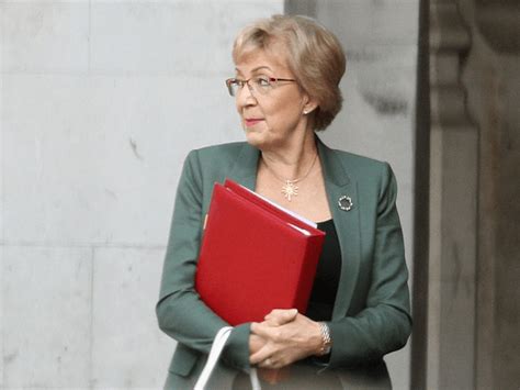 One-Time Leadership Rival Turned May Ally Andrea Leadsom Quits