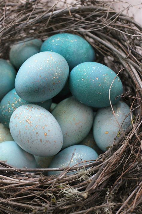 DIY Dyed Robin Eggs – HonestlyYUM