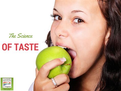 The Science of Taste: How Does Taste Work, Anyway? | ECPI University