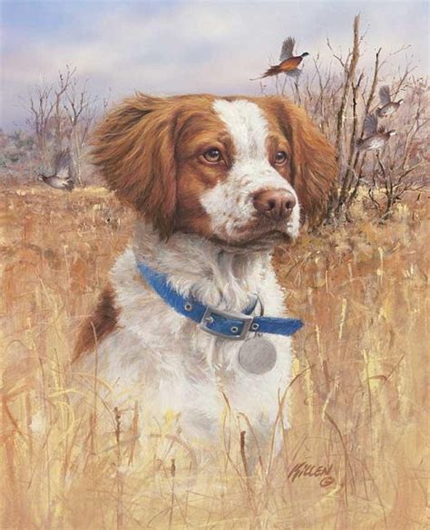 BRITTANY Dog Hunting Pheasants on One 16 inch Square Fabric | Etsy ...