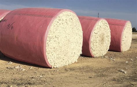 Cotton’s First Bale for 2020 Delivered on June 18 | Textile Magazine, Textile News, Apparel News ...