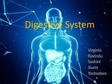 Digestion in Human Body