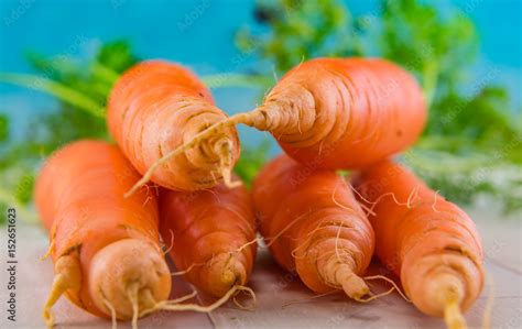 Six Fresh Carrot Tips Stock Photo | Adobe Stock