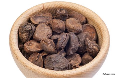 Kola Nut is a treasure trove of health benefits - Global Healthcare ...