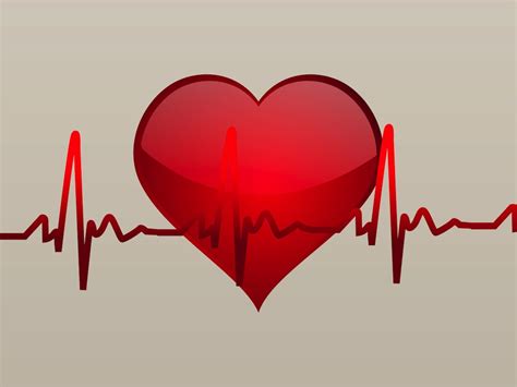 Free medical heart clipart
