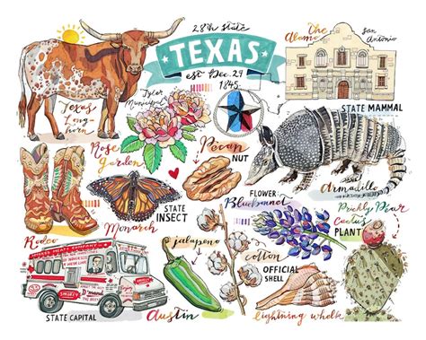 Texas Print illustration state symbols the Lone Star State | Etsy