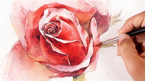 Red Rose Watercolor Painting