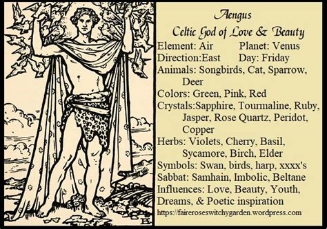 Aengus: Celtic God of Love & Beauty | Celtic gods, Celtic deities, Celtic myth