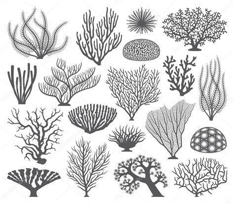 Coral formations Vector Silhouettes Stock Vector Image by ©pingebat #95626174