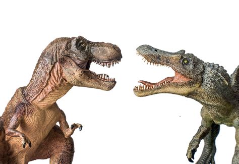 Was Spinosaurus Bigger Than T-Rex? - FossilEra.com
