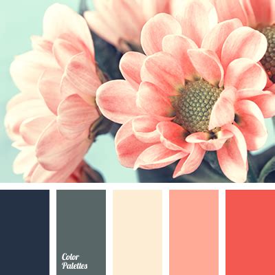 red and burgundy colors | Color Palette Ideas