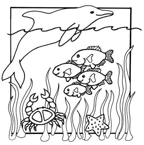 Animal Coloring Pages Of Ocean Animals - Coloring Home