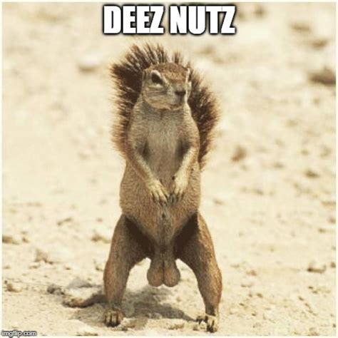 DEEZ NUTS - Imgflip