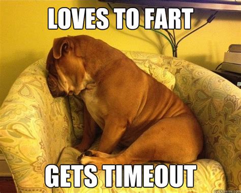 45 Funniest Fart Memes, Gifs, Jokes, Photos & Images | PICSMINE