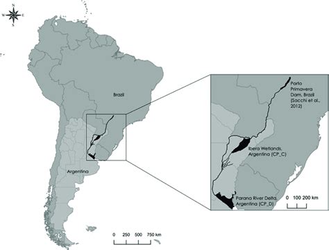 Argentina Rivers Map