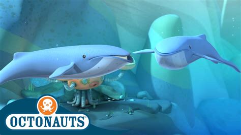 Octonauts - Two Blue Whales Head Towards the Octopod | Cartoons for ...