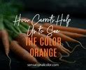 Meaning Of Orange: Color Psychology And Symbolism