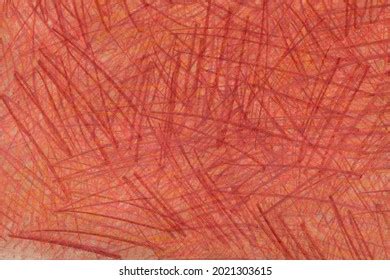 75,860 Brown crayon Images, Stock Photos & Vectors | Shutterstock