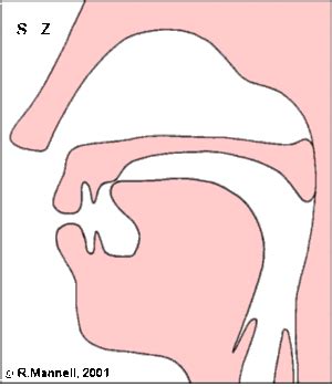 Dental Fricative [Th Sound] : My Nightmare