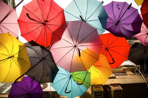 Assorted-color Umbrellas · Free Stock Photo