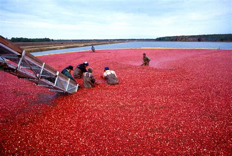 Wisconsin's Right to Farm Law - Wisconsin Farm Bureau Federation