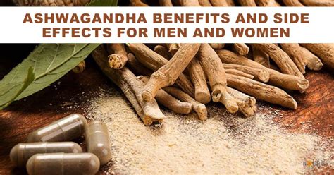 Ashwagandha Benefits & Side Effects For Men & Women - NourishDoc