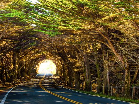 Tree Tunnel by Harpreet Grewal / 500px