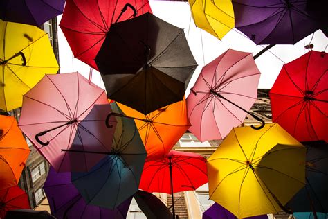 Pink Grey and Green Folding Umbrella Painting · Free Stock Photo